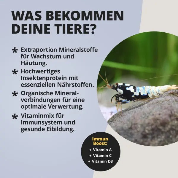 NatureHolic Mineralfeed: Der Vital-Boost für Panzer, Häutung und Gehäuse – Dein Mineralstoff-Geheimnis! ✨ AquaTimo