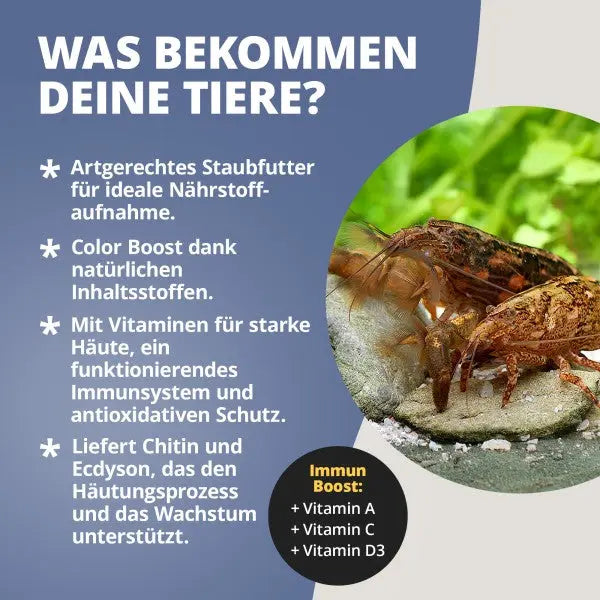 NatureHolic Fanfeed: Das protein- und energiereiche Alleinfutter für deine Fächergarnelen (Fan Shrimp)! 🌊🍤 AquaTimo