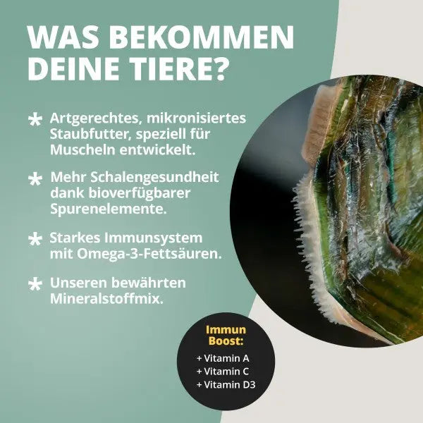 NatureHolic Musselfeed: Das Spezialfutter für Ziermuscheln – Garant für Schalenwachstum und Vitalität! 🐚💪 AquaTimo