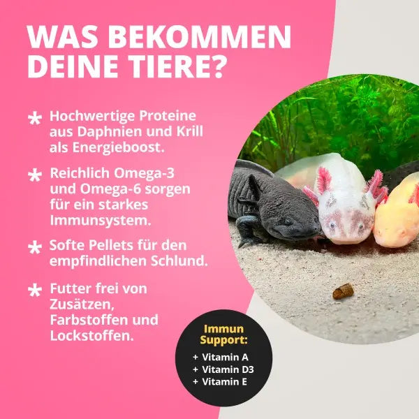 NatureHolic AxolotlFeed: Das Softfutter mit LT71 Power für dein Axolotl Aquarium! AquaTimo