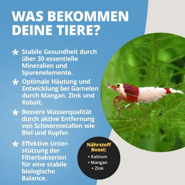 NatureHolic Toxex Balls: 3-fache Wirkung für dein Aquarium AquaTimo