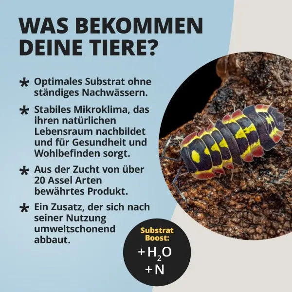 NatureHolic Assel HydroProtect: Der kristalline Wasserspeicher für sorgenfreie Assel Haltung 💧🏠 AquaTimo