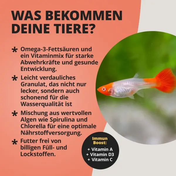 NatureHolic Guppyfeed: Dein Softgranulat (0,5 mm) Hauptfutter für brillante Guppys & kristallklares Wasser! 🐠 AquaTimo