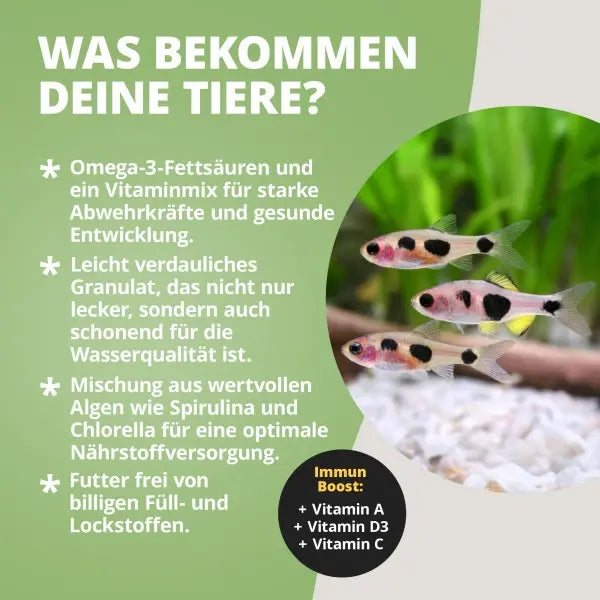 NatureHolic Hauptfeed: Dein Schlüssel zu vitalen Fischen & klarem Wasser AquaTimo