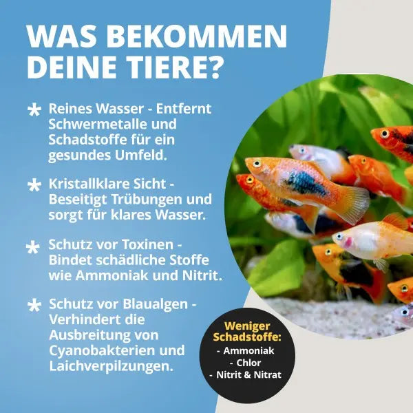 NatureHolic ToxEx Liquid: Dein natürliches Schutzschild für Garnelen & Co. AquaTimo