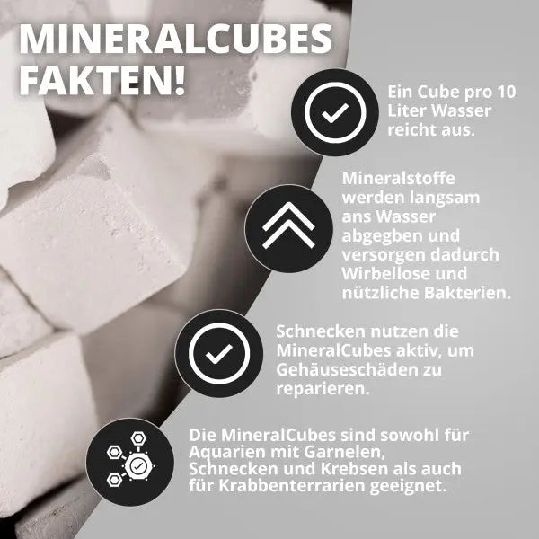 NatureHolic MineralCubes "Pure Mineral": Der ultimative Mineral-Booster für Garnelen, Schnecken und Krebse 💎 AquaTimo