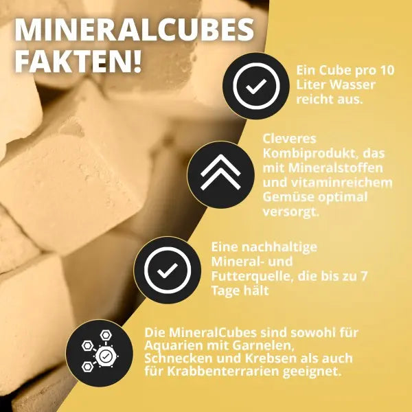 NatureHolic MineralCubes "Vitamine Power": Die smarte Mineralstoff-Versorgung & das perfekte Ferienfutter für Wirbellose! 🤩 AquaTimo