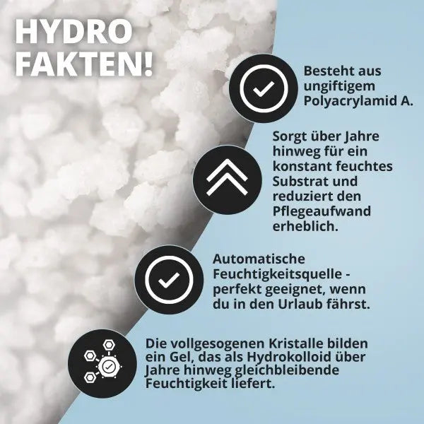 NatureHolic Assel HydroProtect: Der kristalline Wasserspeicher für sorgenfreie Assel Haltung 💧🏠 AquaTimo