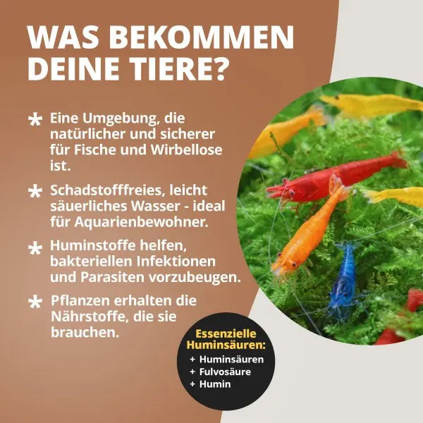NatureHolic Crusta Humin Liquid: Dein einfacher Weg zu natürlichem, tierfreundlichem Schwarzwasser-Feeling im Aquarium! 🌳 AquaTimo