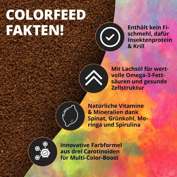 NatureHolic Nano Color Feed: Farbenpracht und Vitalität für Nano Fische AquaTimo