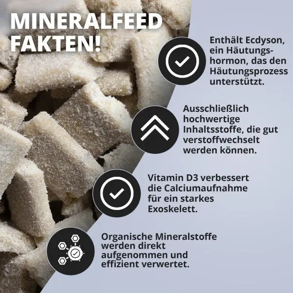 NatureHolic Mineralfeed: Der Vital-Boost für Panzer, Häutung und Gehäuse – Dein Mineralstoff-Geheimnis! ✨ AquaTimo