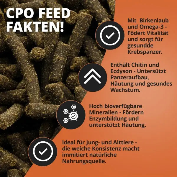 NatureHolic Cambarellusfeed: Dein Premium-Softstick Futter für vitale Zwergkrebse und leuchtende CPOs! 🦐🧡 AquaTimo