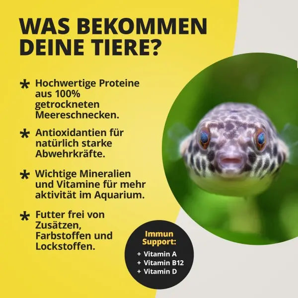 NatureHolic Pufferfeed: Das lebensnotwendige Alleinfuttermittel aus gefriergetrockneten Meeresschnecken für gesunde Kugelfische! 🐡 AquaTimo