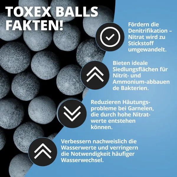 NatureHolic Toxex Balls: 3-fache Wirkung für dein Aquarium AquaTimo
