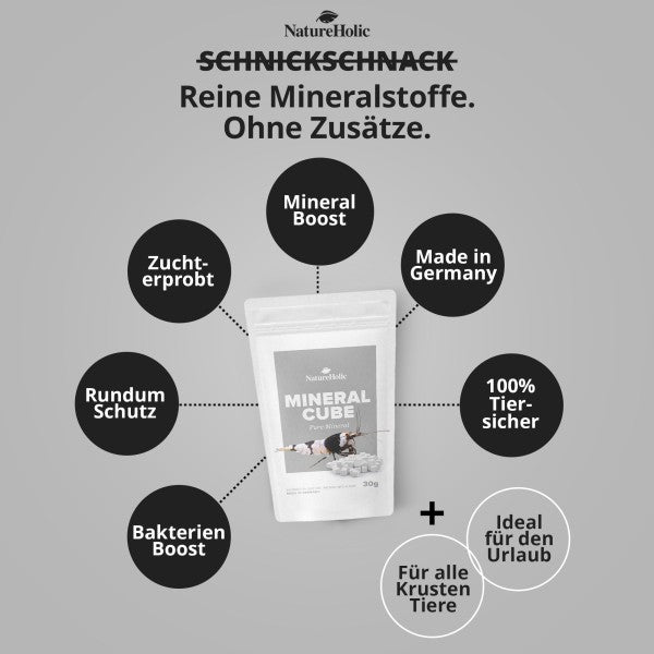 NatureHolic MineralCubes "Pure Mineral": Der ultimative Mineral-Booster für Garnelen, Schnecken und Krebse 💎