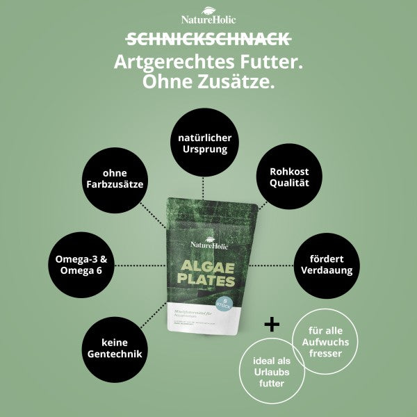 NatureHolic AlgaePlate Algentafel: Der natürliche Rohkost-Snack für deine Garnelen und Schnecken – voller Mineralstoffe und Jod! 🌿