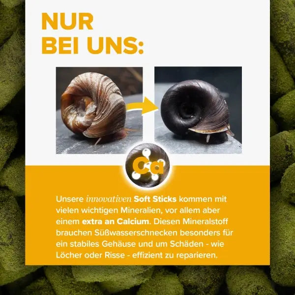 NatureHolic Snailfeed Sticks: Die Revolution für deine Aufwuchs fressenden Aquarienschnecken! 🐌💚 AquaTimo