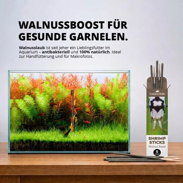 NatureHolic Shrimp Sticks Walnut Boost: Die antibakterielle Walnuss-Leckerei für Wirbellose! 🌿🍤 AquaTimo