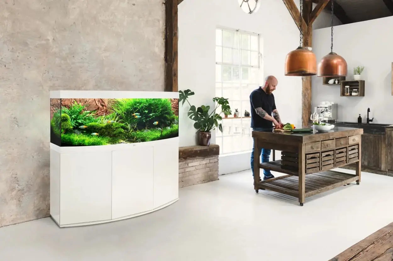 Juwel Vision 450 LED Aquarium (2021) – Das Premium 450 Liter Komplettset für Ihre Unterwasserwelt  - AS+ AquaTimo