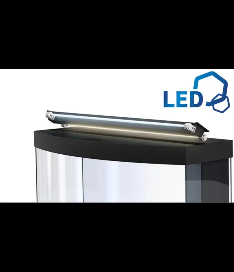 Juwel Vision 450 LED Aquarium (2021) – Das Premium 450 Liter Komplettset für Ihre Unterwasserwelt  - AS+ AquaTimo