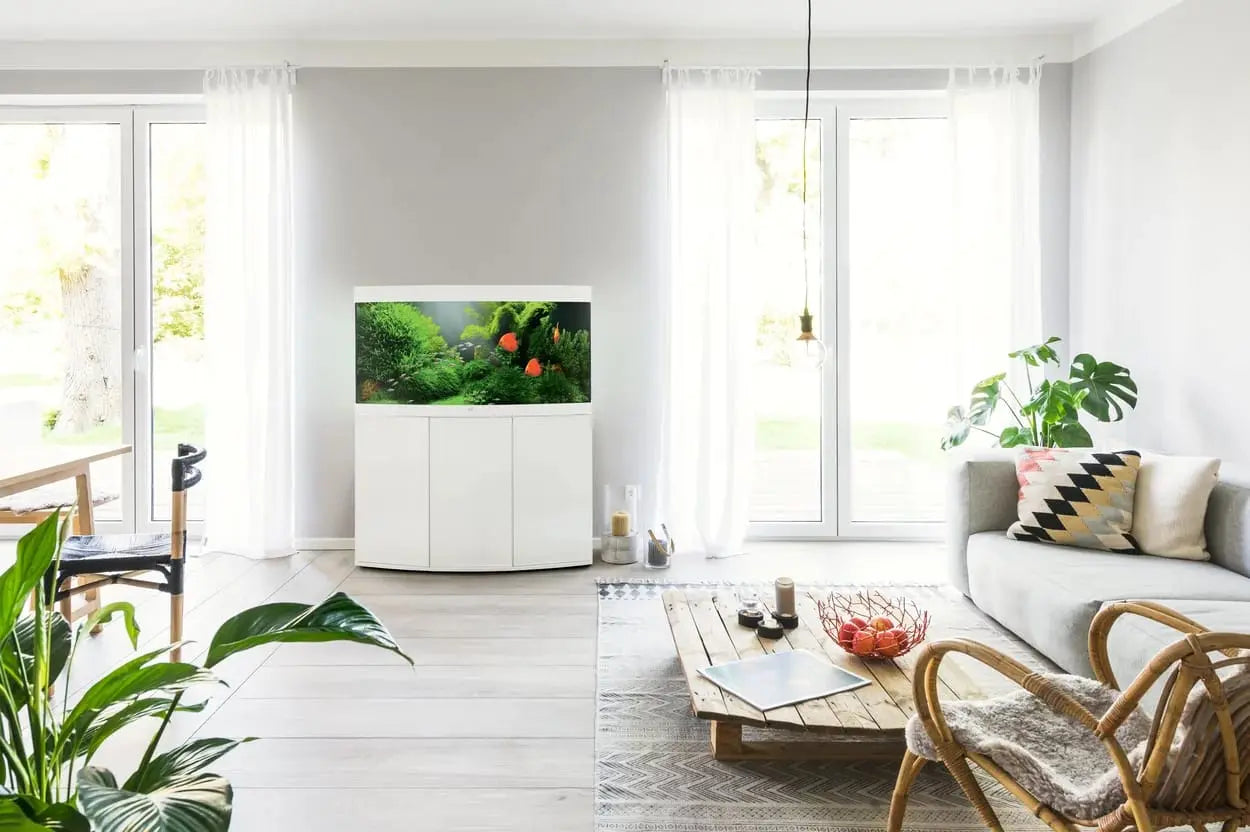Juwel Vision 260 LED Aquarium – Eleganz & Premium-Technik für Ihre 260-Liter-Oase ✨ - AS+ AquaTimo