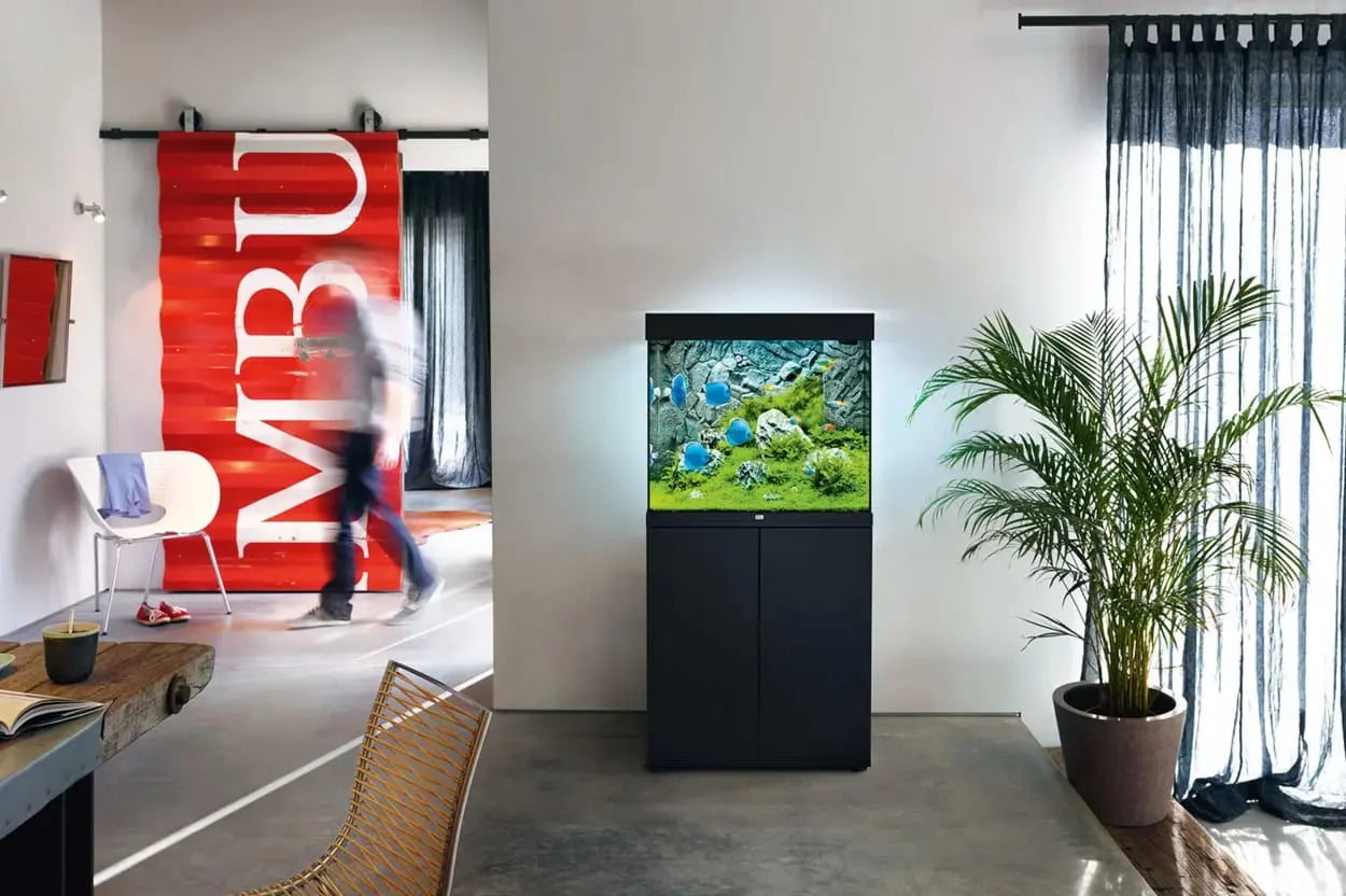 Juwel Lido 120 LED Aquarium – Quadratisches Design-Wunder im Kompaktformat ✨ - AS+ AquaTimo