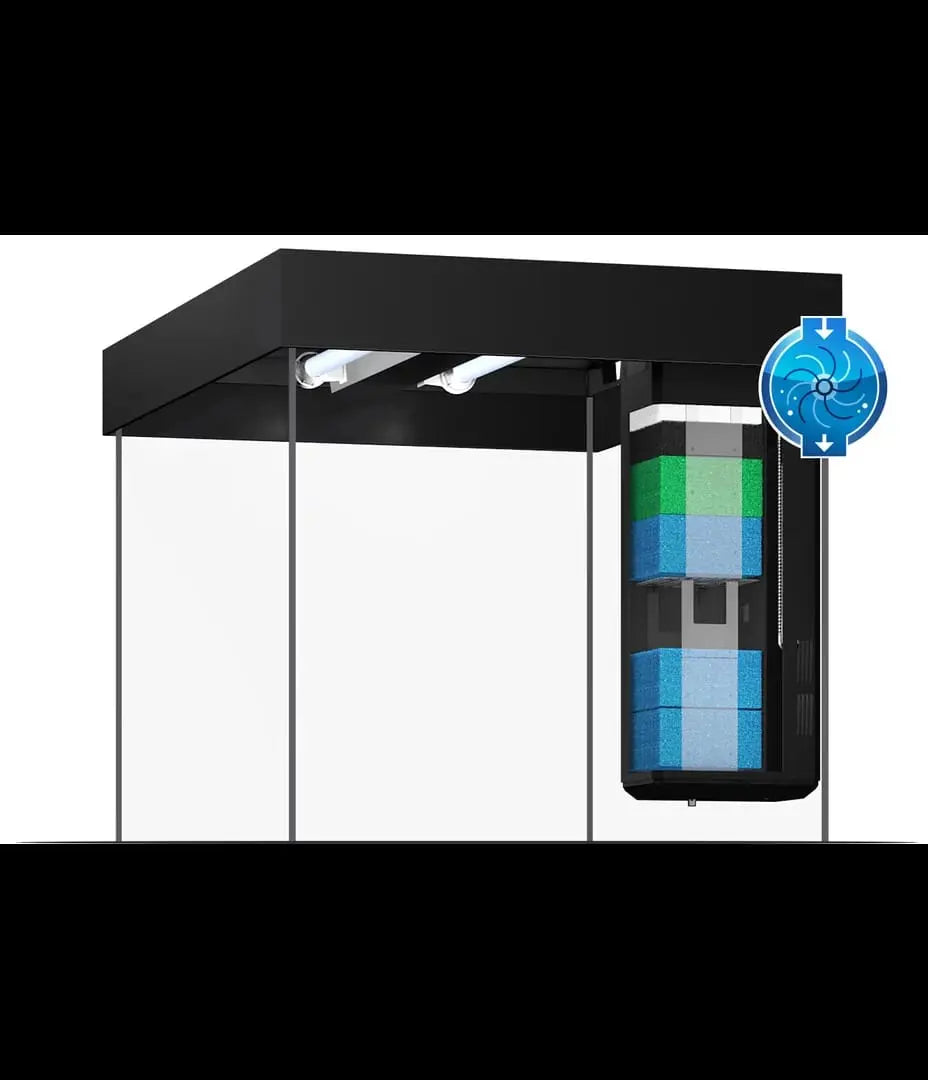 Juwel Lido 120 LED Aquarium – Quadratisches Design-Wunder im Kompaktformat ✨ - AS+ AquaTimo