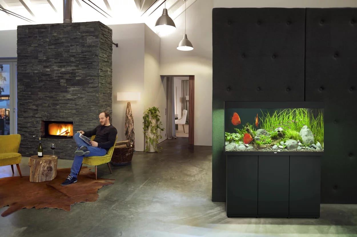 Juwel Rio 180 LED Aquarium Komplettset – Der Bestseller mit 180 Litern 🌟- AS+