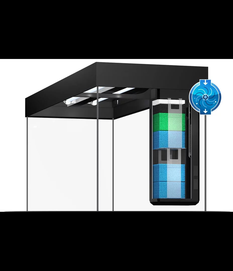 Juwel Rio 180 LED Aquarium Komplettset – Der Bestseller mit 180 Litern 🌟- AS+