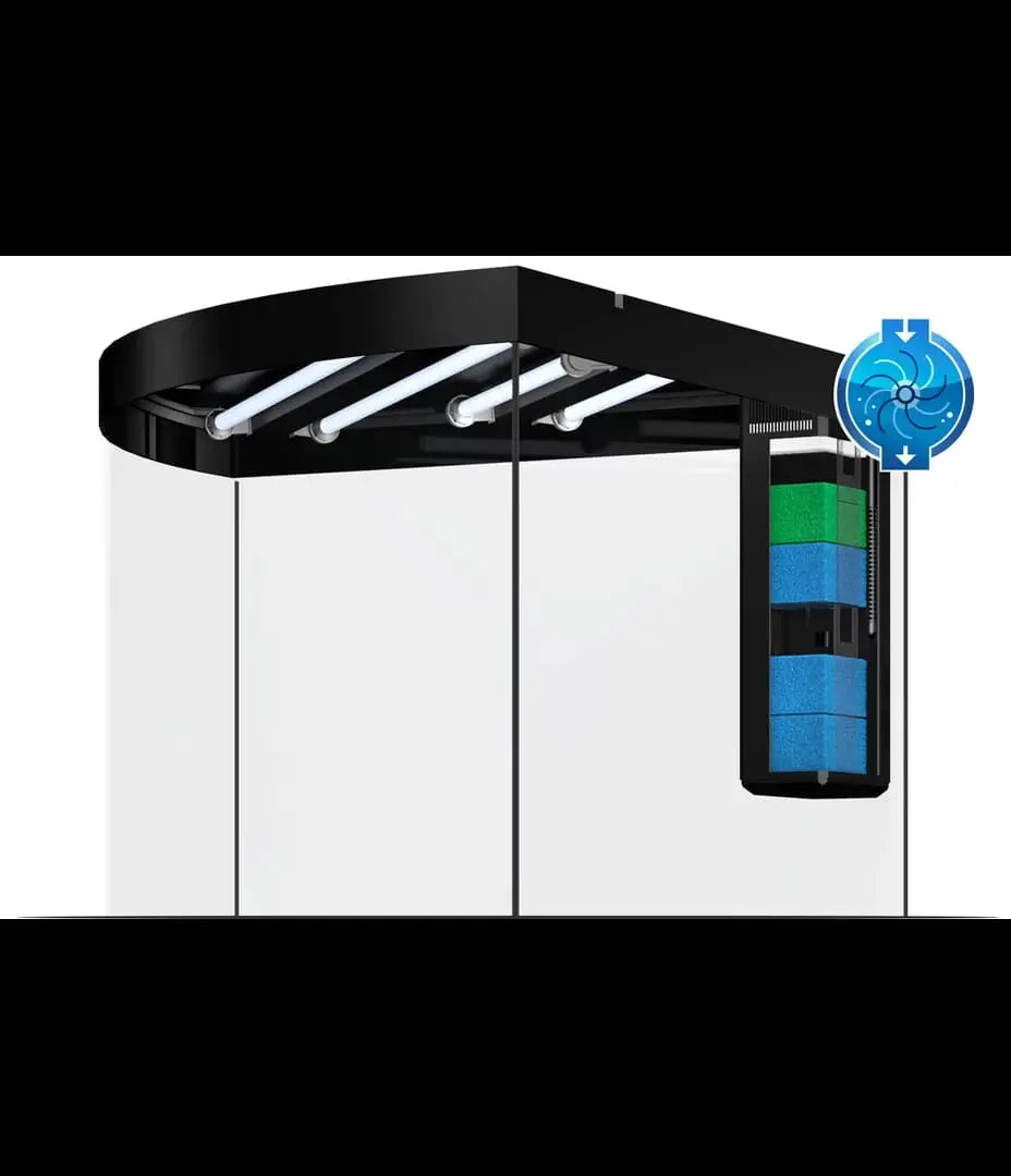 Juwel Trigon 190 LED Aquarium – Das Eckaquarium mit beeindruckender Tiefenwirkung 🤩 - AS+ AquaTimo