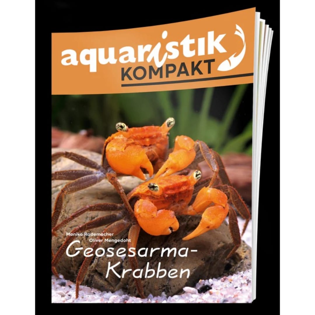 Aquaristik Kompakt – Geosesarma-Krabben – Vampirkrabben Buch