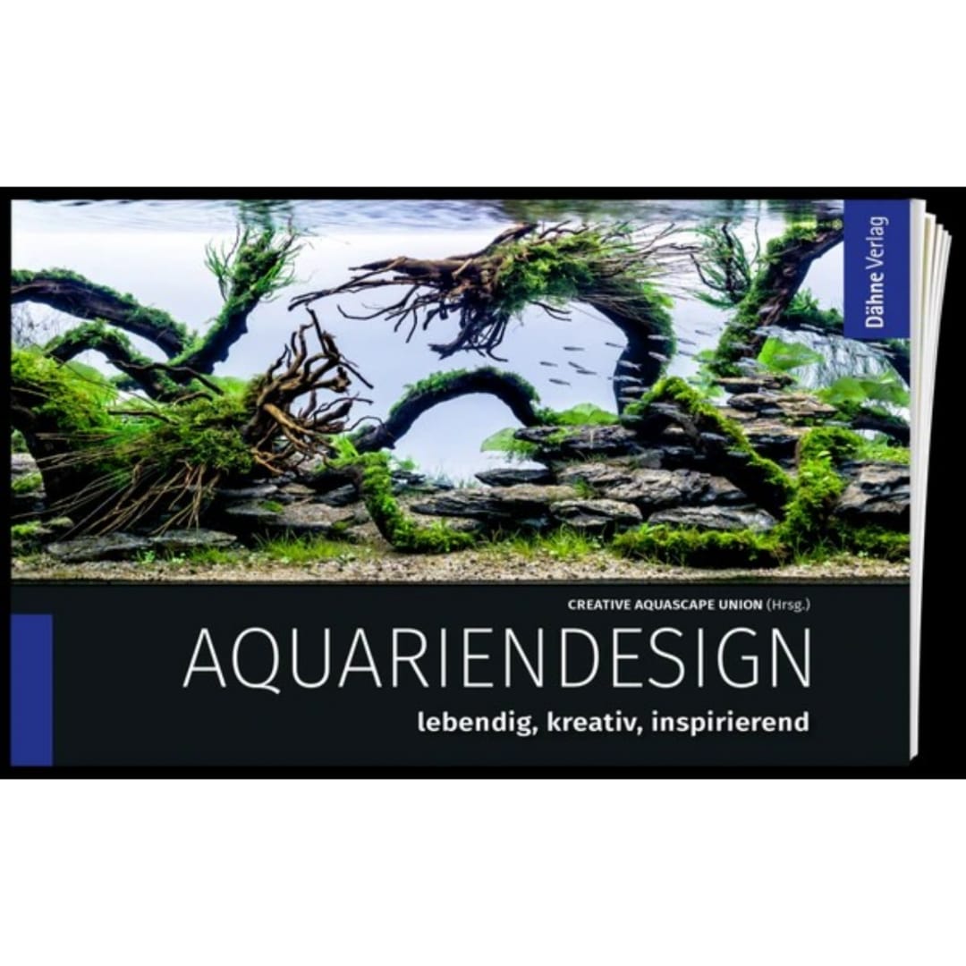 Aquariendesign