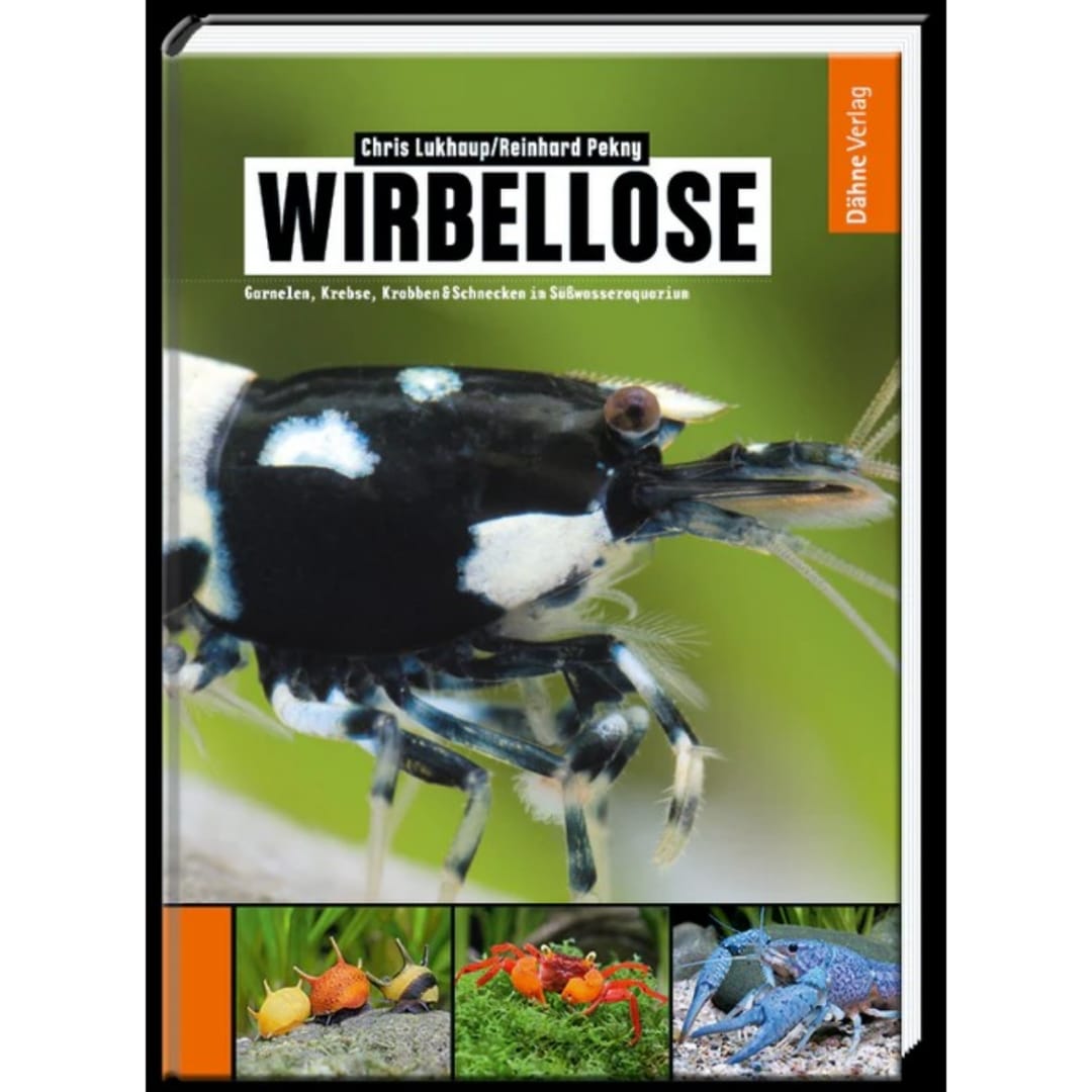 Wirbellose Süßwasser Buch
