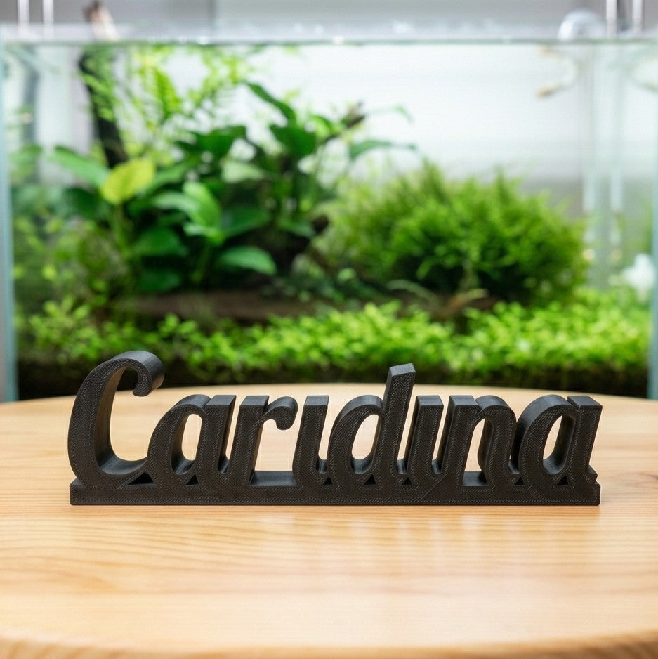 Exklusiver Caridina Dekoschriftzug - DS+