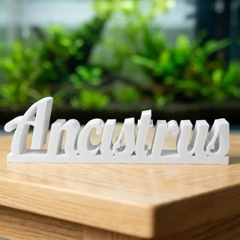 Deko-Schriftzug "Ancistrus"  - DS+ AquaTimo