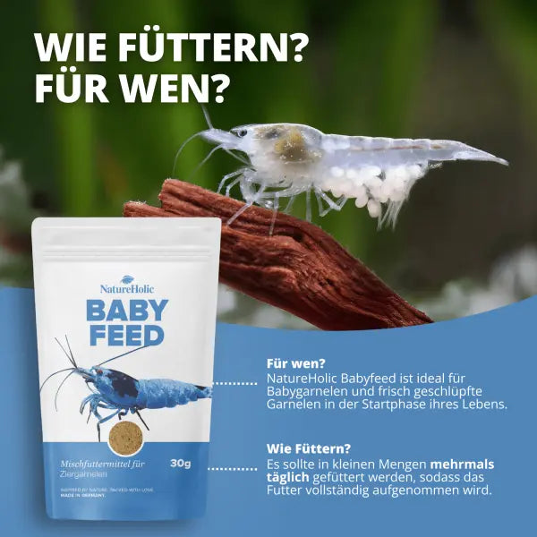 NatureHolic Babyfeed: Das mikrofeine Aufzuchtfutter – Krill-Power und Mineral-Boost für gesunde Babygarnelen! 🦐🚀 AquaTimo