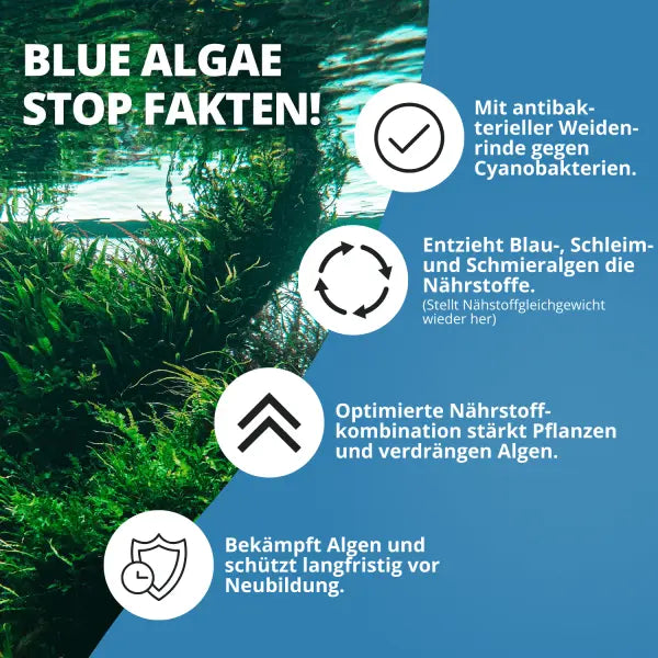 NatureHolic Blue Algae Stop: Schluss mit Blaualgen in deinem Aquarium AquaTimo