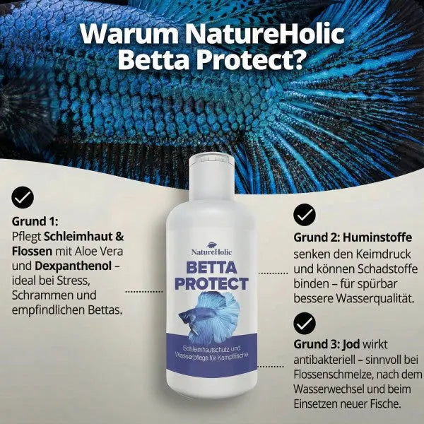 NatureHolic Betta Skin Protect: Der 4-fach-Schutz für deinen Betta AquaTimo