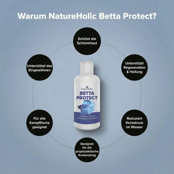 NatureHolic Betta Skin Protect: Der 4-fach-Schutz für deinen Betta AquaTimo