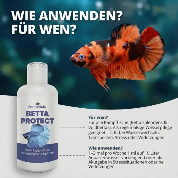 NatureHolic Betta Skin Protect: Der 4-fach-Schutz für deinen Betta AquaTimo