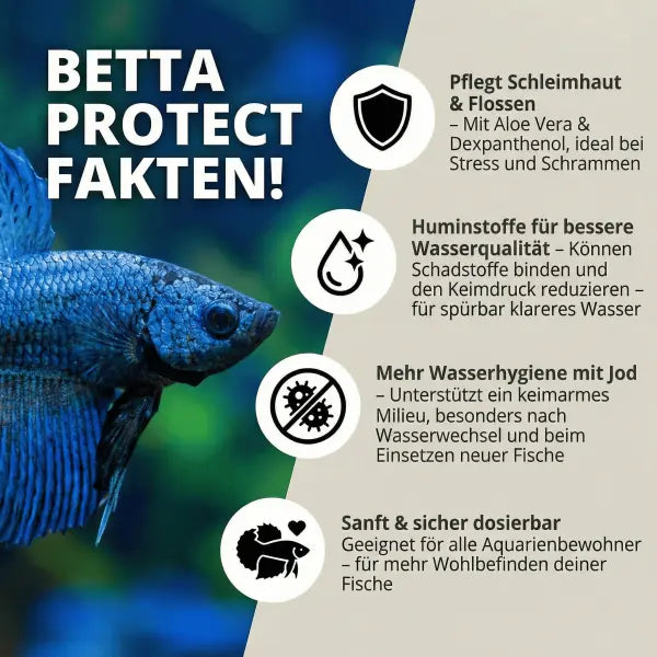 NatureHolic Betta Skin Protect: Der 4-fach-Schutz für deinen Betta AquaTimo