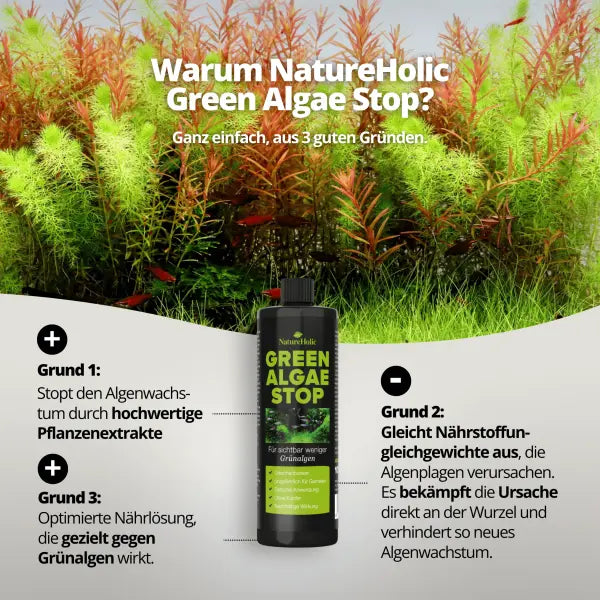 NatureHolic Green Algae Stop: Dein natürlicher Grünalgenblocker – Bekämpfe Nährstoffungleichgewicht und stärke deine Aquarienpflanzen! 🌿🛡️ AquaTimo
