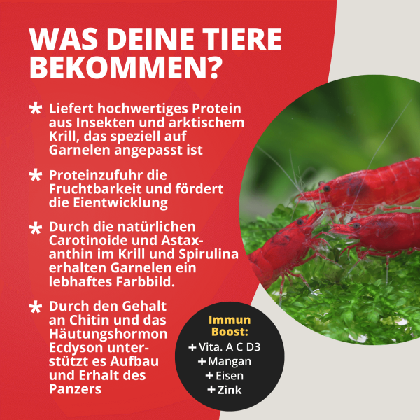 NatureHolic Proteinfeed: Die Spezial-Proteinnahrung für Wachstum, Zucht und starke Panzer! 💪🦐