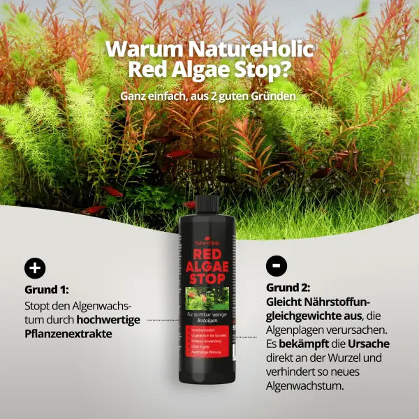 NatureHolic Red Algae Stop: Dein Game-Changer gegen Rotalgen – Beseitige das Nährstoffungleichgewicht im Aquarium! 🛡️🌿 AquaTimo
