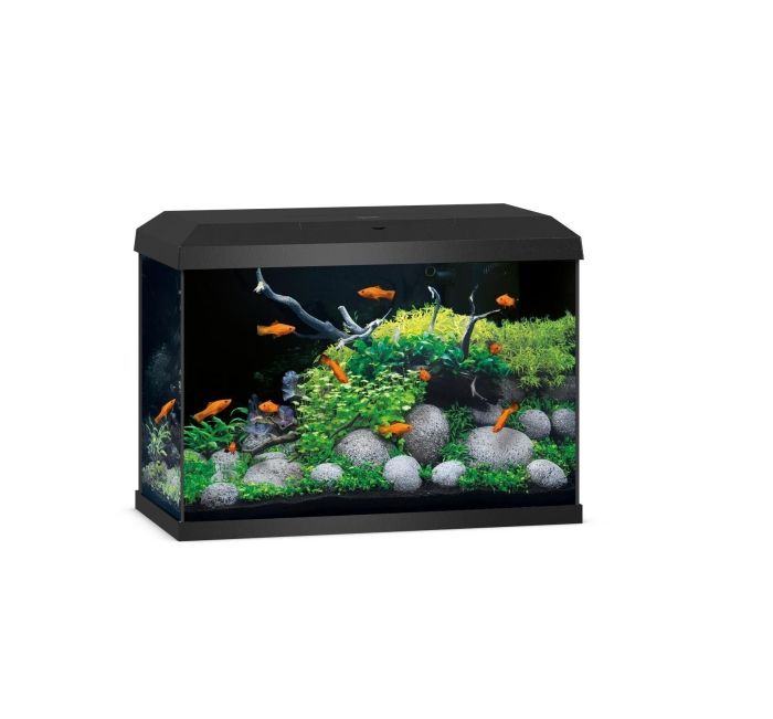 🐠 JUWEL Primo 70 LED 2.0 – Dein perfekter Einstieg in die Aquaristik! 🌿💧 - AS+