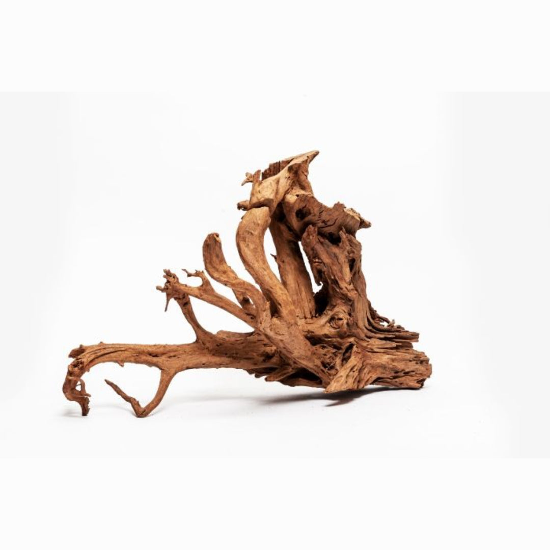 Mangrove XL gestrahlt – Majestätisches Hardscape für dein Aquarium 🌿 - AS+