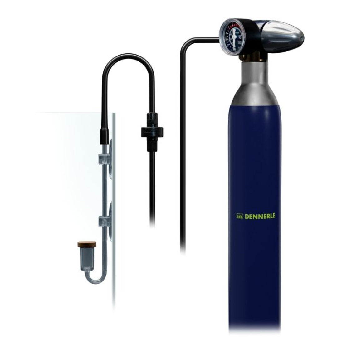 Carbo Soda M200 von Dennerle – CO2-Versorgung leicht gemacht 🫧🌿 - AS+