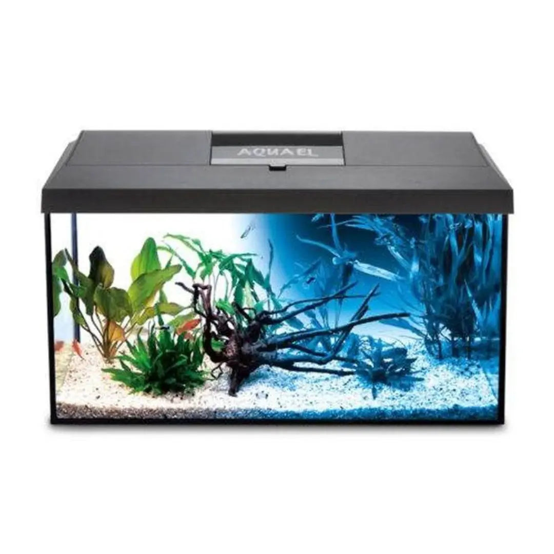 AquaEl Aquarienset LEDDY Day&Night – Das Komplettpaket für Dein Unterwasser-Erlebnis 🌙☀️ - AS+ AquaTimo