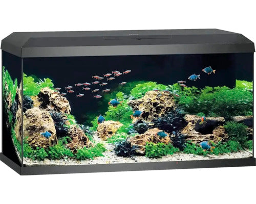 🐠 JUWEL Primo 110 LED 2.0 – Dein zuverlässiger Einstieg in die Aquaristik! 🌿 - AS+