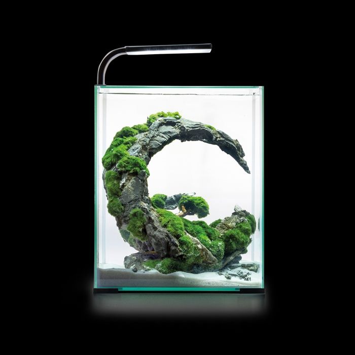 Shrimp Set Day & Night – Dein komplettes Nano-Universum für Garnelen - AS+